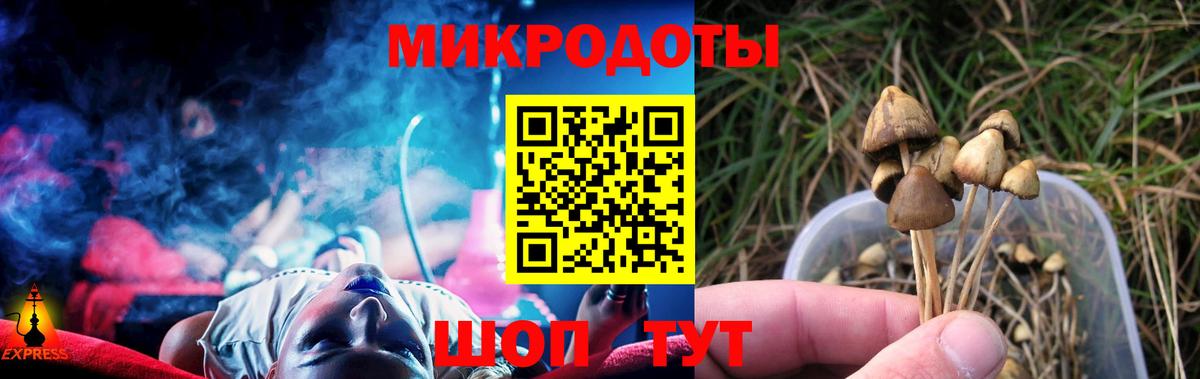 Псилоцибиновые грибы Psilocybine cubensis  Вход с VPN  Ишим 