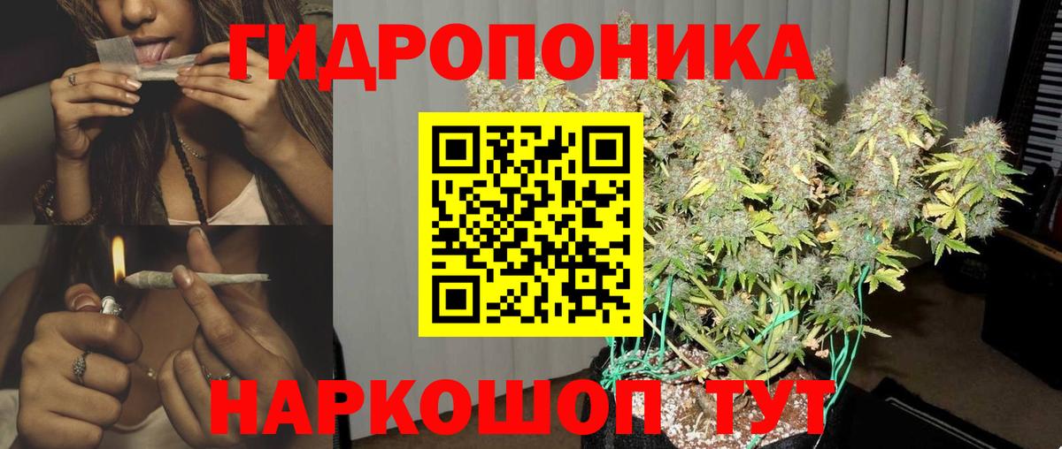 Бошки Шишки Ganja  Марихуана тримм  Каннабис планчик  Ишим  Вход с VPN 